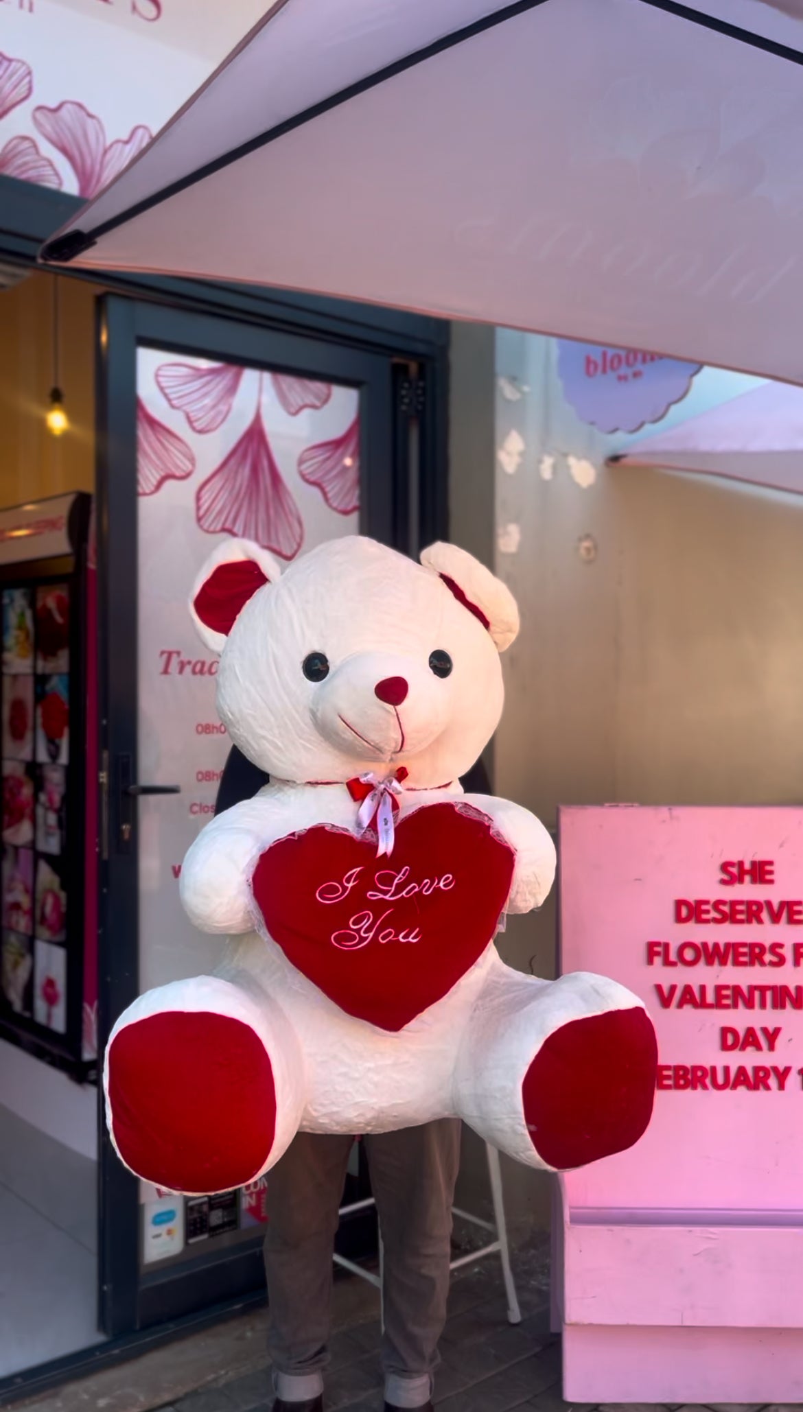 Teddy Bear