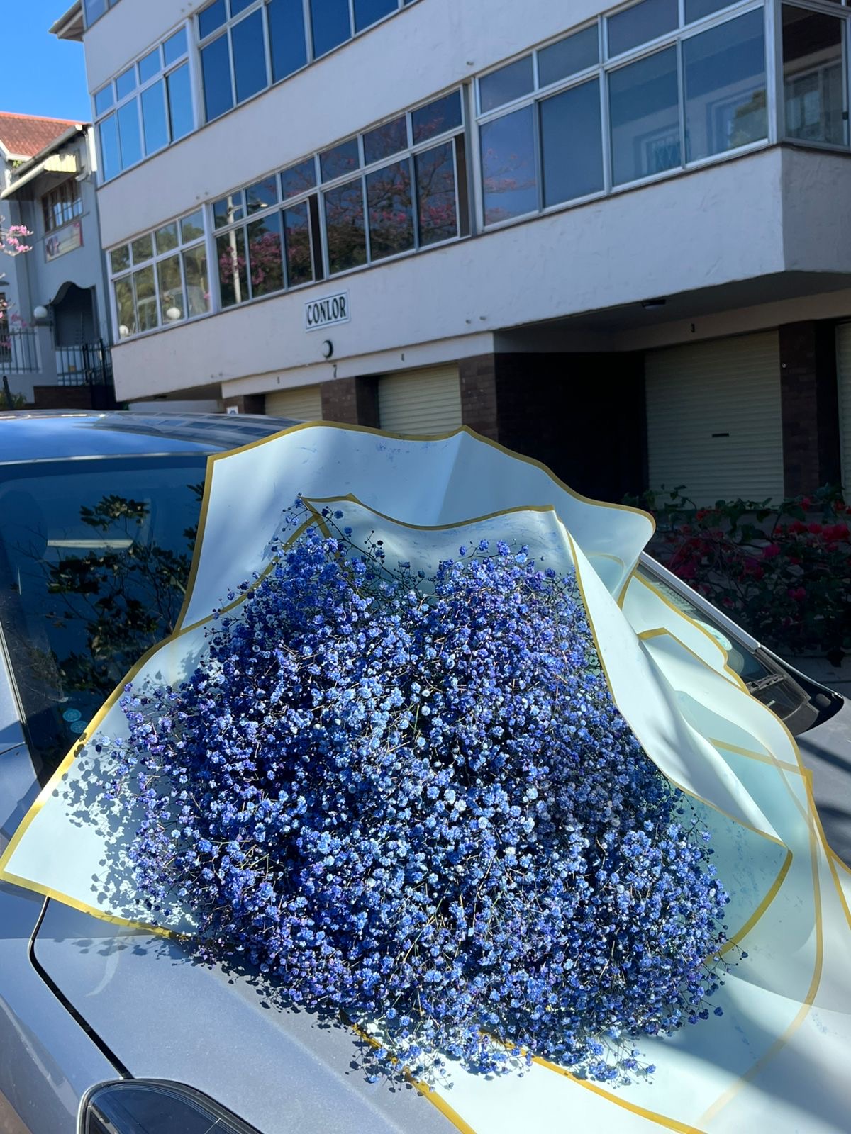 Baby's Breath Bouquets